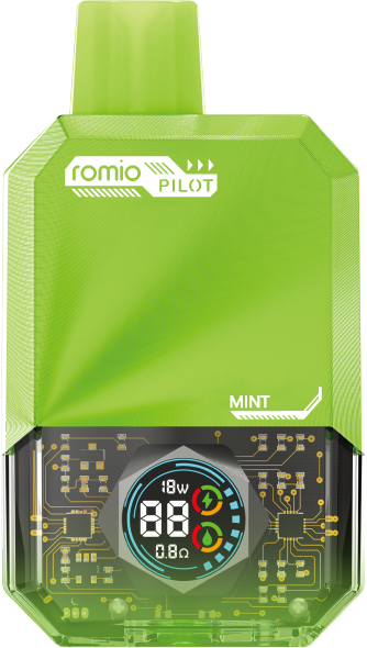 ROMIO PILOT 민트