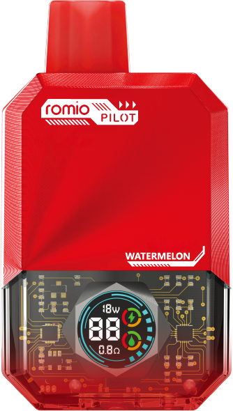ROMIO PILOT 수박